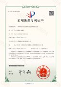 /q/q1/zhuanli1008.html